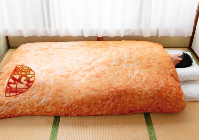 ▲▼日清烏龍麵「SNS話題商品化活動」即日起開跑，豆皮棉被、烏龍麵床墊都有 / 日清のどん兵衛提供、WalkerLand窩客島整理​​​​​​​