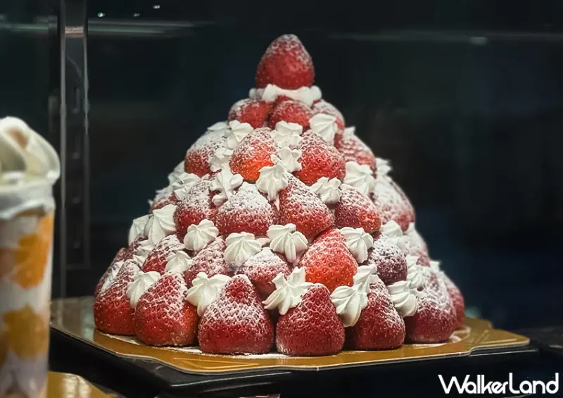 ▲▼基隆廟口夜市「立嘉糕餅」推薦菜單：個人草莓塔、草莓聖誕樹 / WalkerLand窩客島 蕭芷琳 拍攝