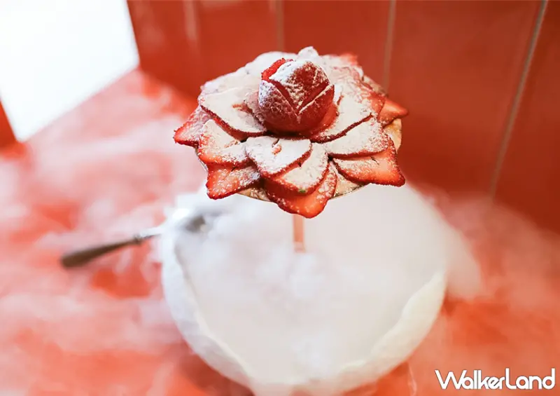 ▲▼板橋必吃焦糖布丁在這！板橋咖啡廳「莫恩先生布丁店 Mr. Moan」隱身於巷弄間 / WalkerLand窩客島 蕭芷琳 拍攝