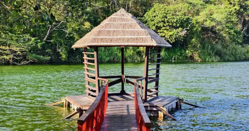 過年免費玩桃園景點！春節走春推薦「9大桃園景點」免花錢開玩，史努比打卡點 景觀步道一次玩。