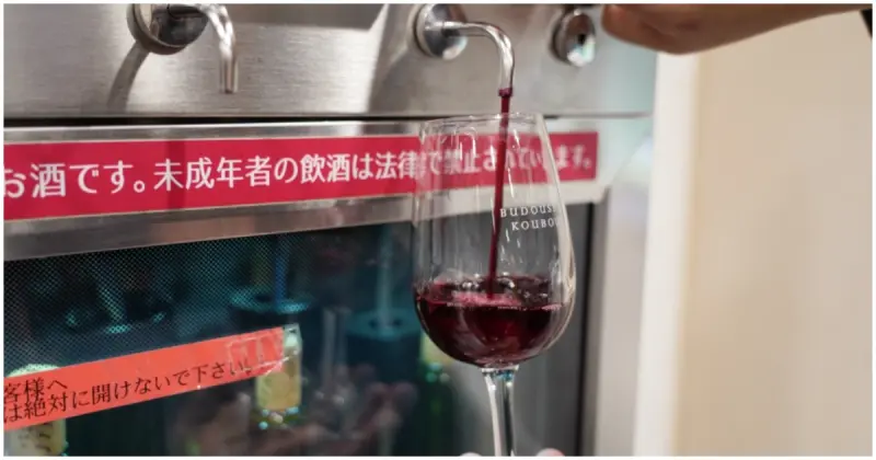 日本葡萄酒來這買！日本葡萄酒大賽常勝軍「安心院葡萄院工房」，1000日圓無限試喝。