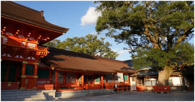 CNN評選日本最美景點！大分能量聖地「宇佐神宮」，獨特祈願葫蘆繪馬。