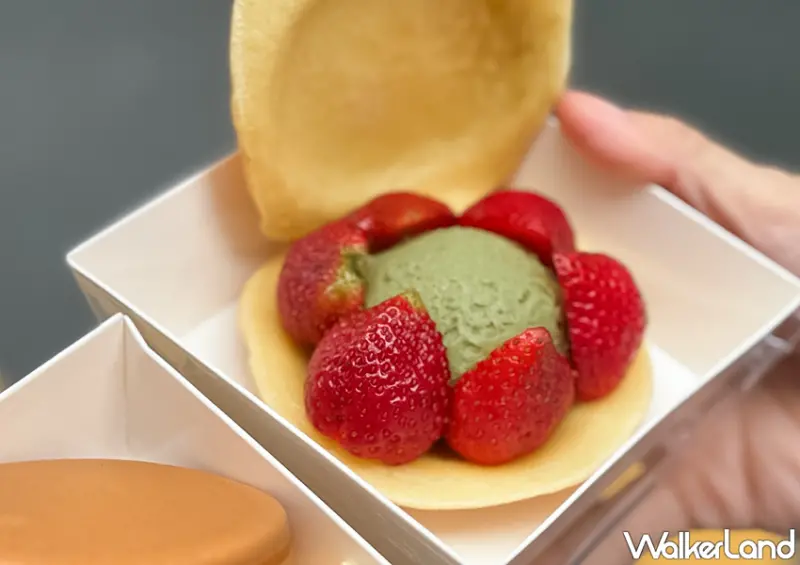 ▲▼桃園草莓甜點「春花日式紅豆餅－春花號」草莓車輪餅最低只要35元 / WalkerLand窩客島 蕭芷琳 拍攝