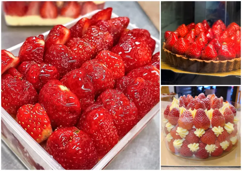 ▲▼北北基5間草莓蛋糕推薦！草莓多到看不見蛋糕，每個果實的份量都相當驚人 / 果汁媽粉條爸、鎧樂餅舖提供、WalkerLand窩客島整理​​​​​​​