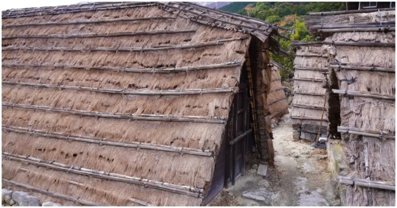 別府溫泉景點！免費參觀湯之花茅草屋「明礬溫泉湯之花小屋」，坐望山景享受明礬溫泉。