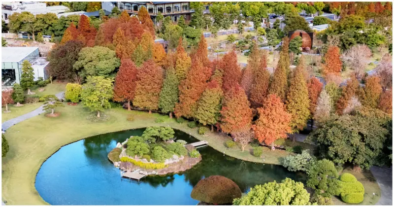 成美文化園門票買一送一！春節限定最美「日系落羽松秘境」網美必拍。