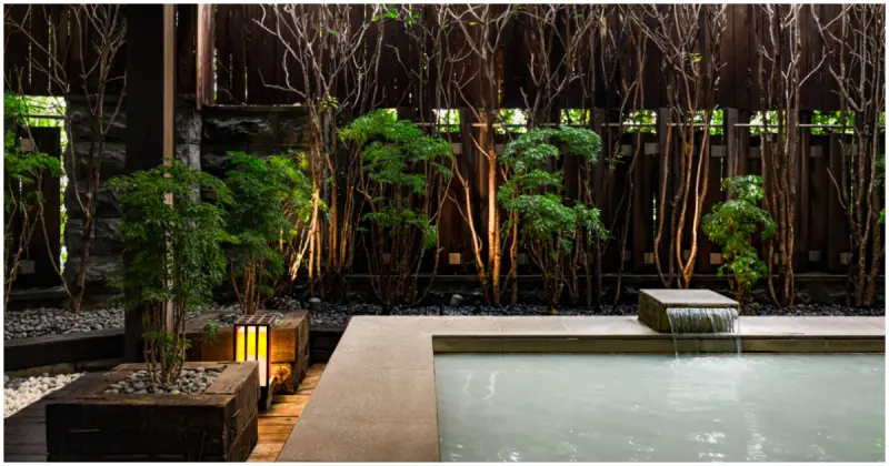 北投麗禧溫泉奢華一日遊！陽明山白磺溫泉療癒之旅 品嚐桂花樹下午茶。