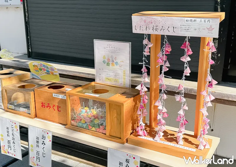 ▲東京櫻花神社「櫻神宮」的櫻花與浪漫的粉色緞帶，可是每年春天必來的秘境 / WalkerLand窩客島 蕭芷琳 拍攝