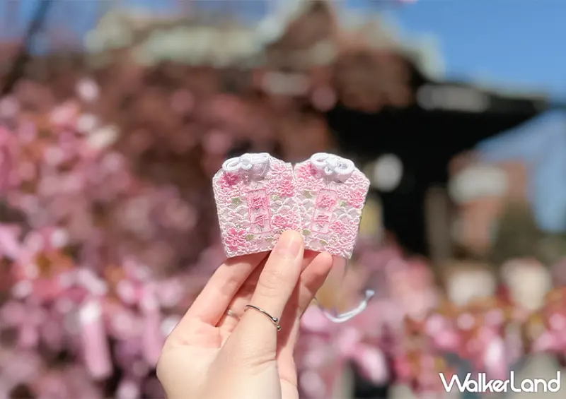 ▲東京櫻花秘境「櫻神宮」神社裡的河津櫻已經綻放，228連假前往東京的朋友可別錯過 / WalkerLand窩客島 蕭芷琳 拍攝