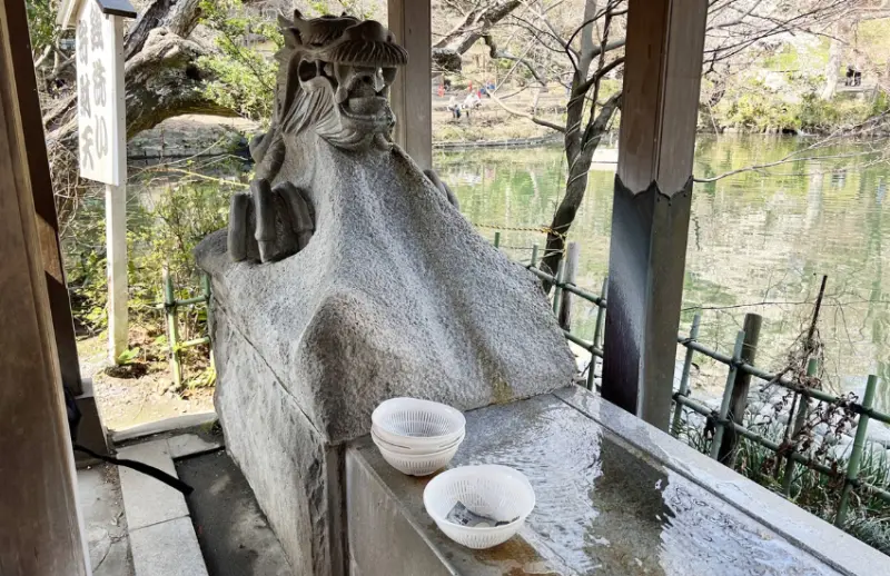 ▲許多人都集中神社旁一處淨水池，一一排隊洗錢。