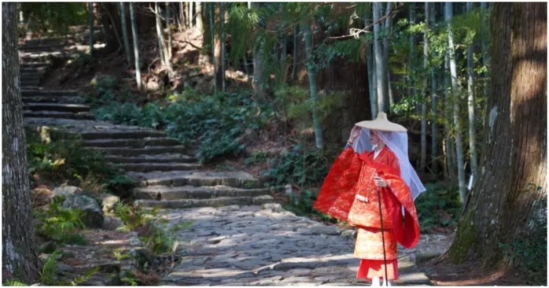千年朝聖之路！世界遺產「熊野古道」參拜重點一次看，新手上路就走這條。