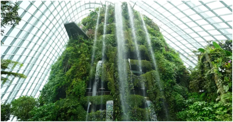 植物迷必去新加坡景點！世界10大最佳室內花園「濱海灣花園」，彷彿走進阿凡達場景。