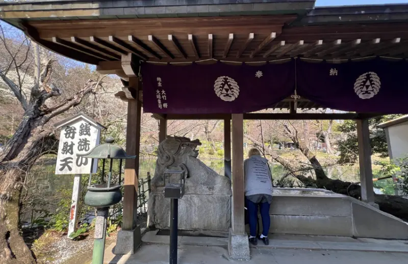 ▲​​​​​​​井之頭弁財天神社​​​​​​​是當地居民洗錢神社。