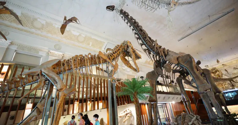 台北室內親子景點7大必玩！搭捷運衝台北森林植物園，室內親子遊戲區下雨照玩。