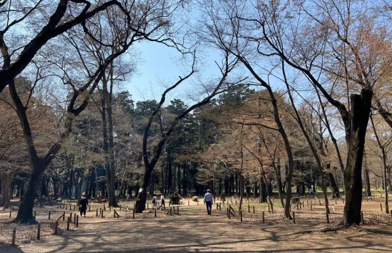 ▲御殿山是地勢稍高又很有歷史感的丘陵地。