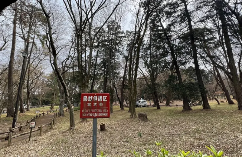 ▲​​​​​​​雖然有許多遊客，但仍有明確保護區告示牌。