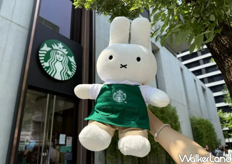 ▲miffy米飛兔化身星巴克綠圍裙店長可愛爆棚 / WalkerLand窩客島 鄭雅之 拍攝