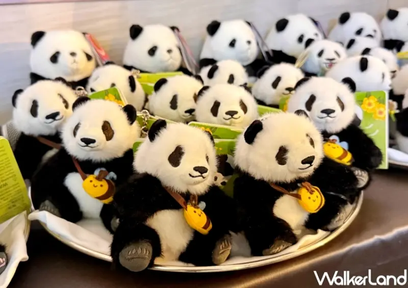 香港海洋公園看熊貓！香港海洋公園6大亮點 入園優惠，熊貓寶寶見面會必朝聖。