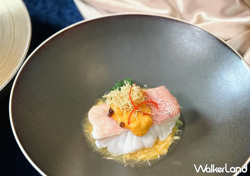 ▲台北高級餐廳「海峽會」推薦菜單：禿油手拆蟹粉扒蟠龍紅條斑 / WalkerLand窩客島 蕭芷琳 拍攝