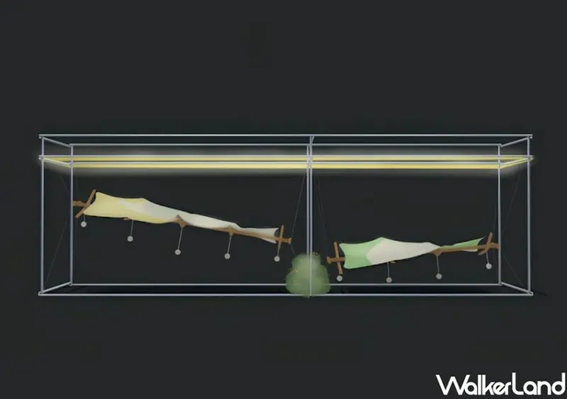 板橋蝴蝶公園變美了！新北河濱蝶戀季15種株花海、夜景、市集，只有2週。