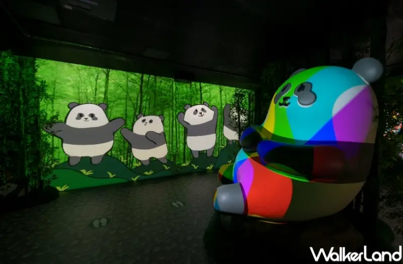 香港海洋公園看熊貓！香港海洋公園6大亮點 入園優惠，熊貓寶寶見面會必朝聖。