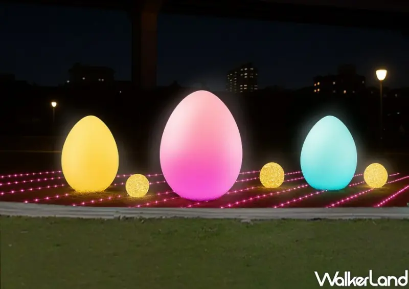 板橋蝴蝶公園變美了！新北河濱蝶戀季15種株花海、夜景、市集，只有2週。