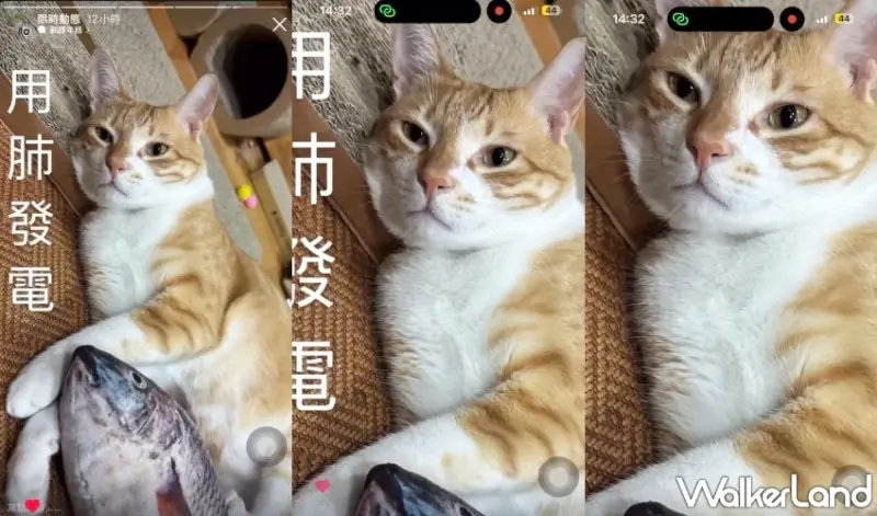 IG限動可以放大！不要說「字」太小看不見了，一動作IG限動放大看。