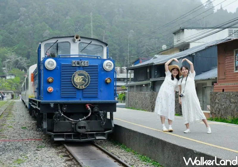 ▲雄獅針對會員推出「天天領折扣碼」、「周周搶購」與「幸運轉盤」優惠活動 /雄獅旅遊 提供、WalkerLand窩客島整理