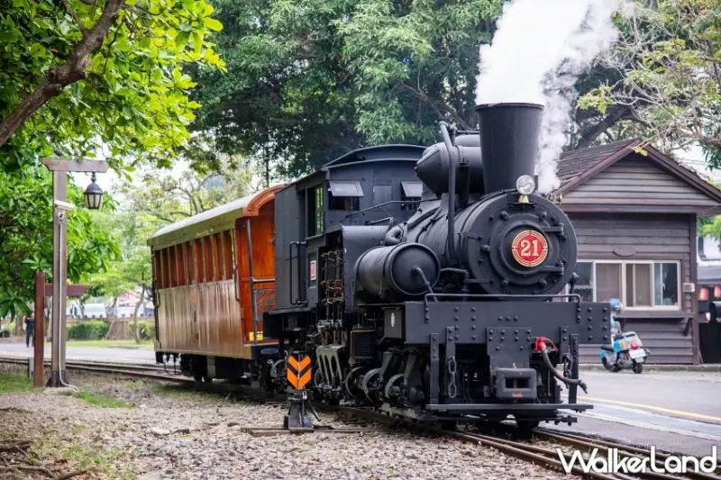 阿里山賓館鐵道賞螢活動！搭乘蒸汽火車探索神秘夜光之旅 親子同遊推薦。