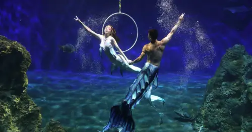 美人魚嘉年華來襲！遠雄海洋公園推人魚賽 限量美人魚悠遊卡、親子營等你體驗。