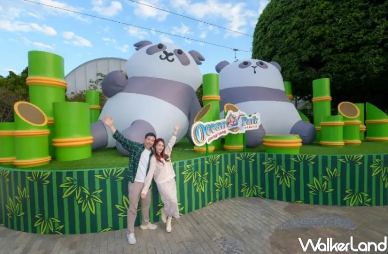 香港海洋公園看熊貓！香港海洋公園6大亮點 入園優惠，熊貓寶寶見面會必朝聖。