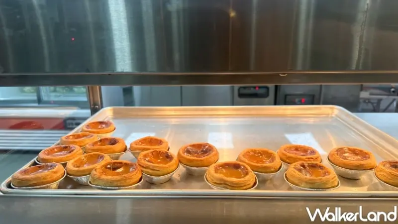 ▲好市多黑糖蛋塔開賣，麵包部販售一盒10入，這次同步在熱食部也能買到2入 / WalkerLand窩客島 李維唐 拍攝