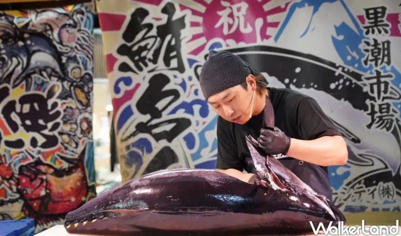 和歌山海鮮全體驗！黑潮市場 必看鮪魚解體秀，海鮮控美食天堂。