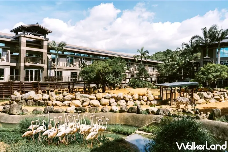 吃到飽餐券7折、六福村門票670元！六福夏季旅展29折起，限時開賣。