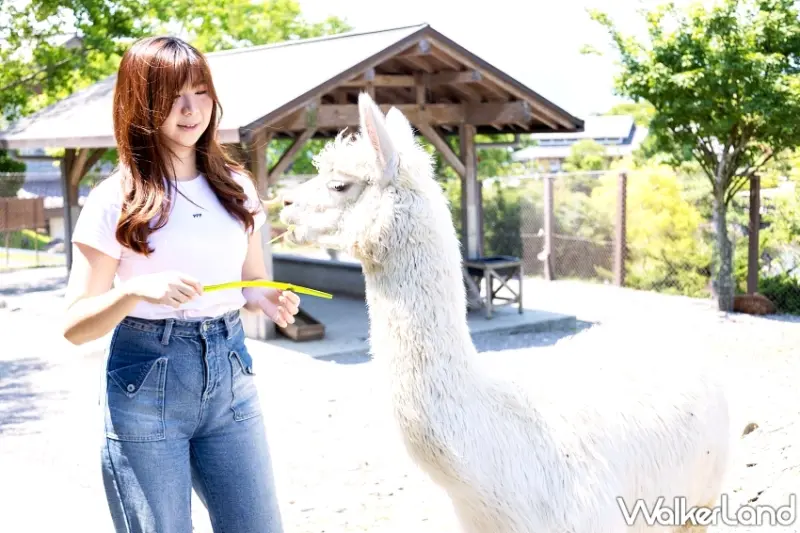 二泊四食34折開賣！台北美福×綠舞飯店推雙城假期聯賣專案。