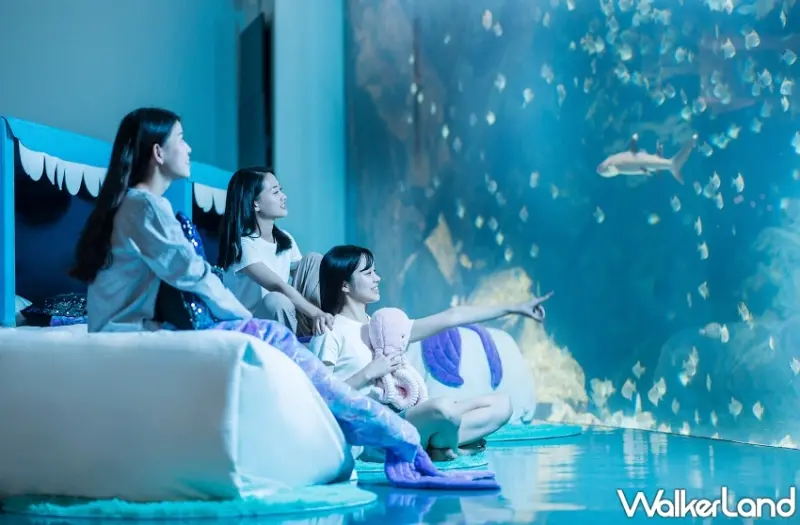 暢飲餐券599元、親子套票52折！國泰夏季旅展必搶優惠總整理。