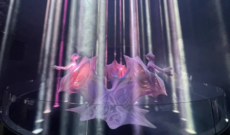 2025大阪世界博覽會連逛兩天，收集18個感動瞬間與好感度大提升的詳細參觀導，我們一起向未來出發吧。