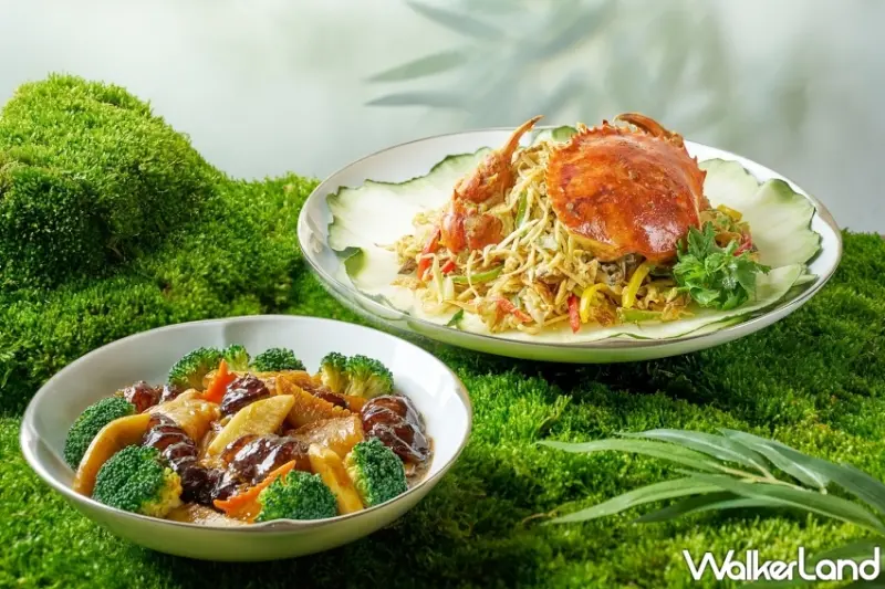 竹筍吃到飽搶訂！台北美福四人同行一人免費快閃優惠開跑。