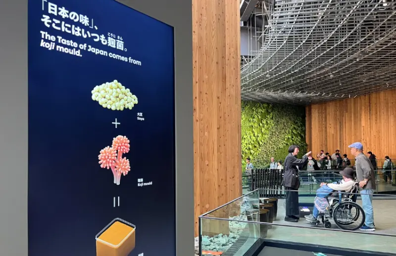 2025大阪世界博覽會必逛展館推薦：垃圾也是一種美學，打造永續循環概念的日本館。