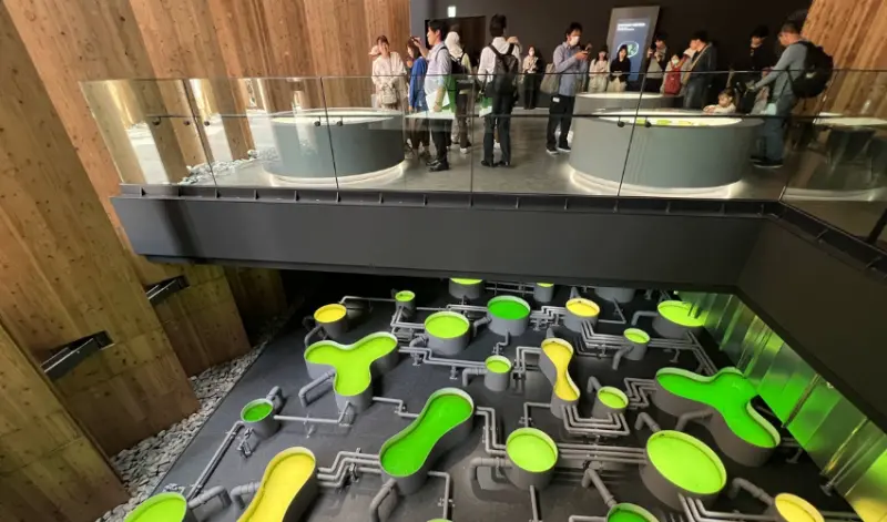 2025大阪世界博覽會必逛展館推薦：垃圾也是一種美學，打造永續循環概念的日本館。