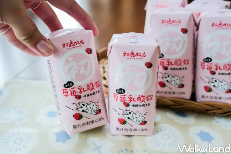 ▲初鹿牧場限定草莓乳酸飲，全聯5/16-6/5推出嘗鮮組合價，6瓶只要189元 / WalkerLand窩客島 張人尹 拍攝