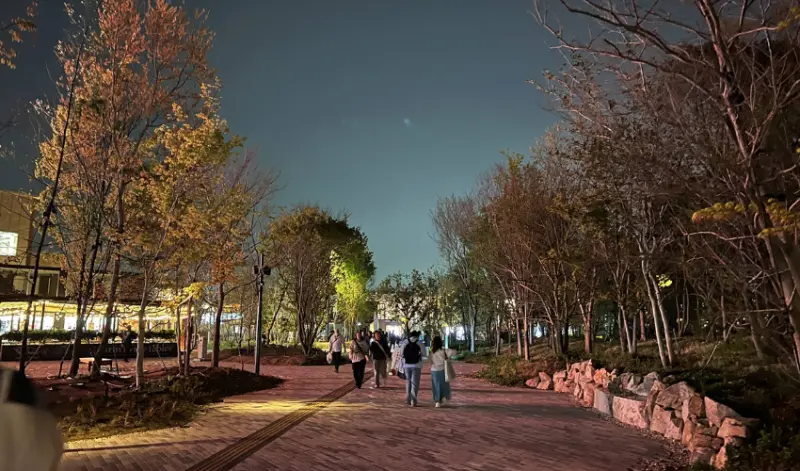 2025大阪世界博覽會連逛兩天，收集18個感動瞬間與好感度大提升的詳細參觀導，我們一起向未來出發吧。