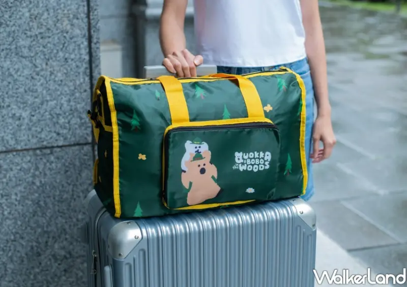 ▲DINOTAENG「簡潔有綠折疊袋」手提肩背雙用，加上折疊設計，實用性大加分 / 屈臣氏 提供、WalkerLand窩客島整理