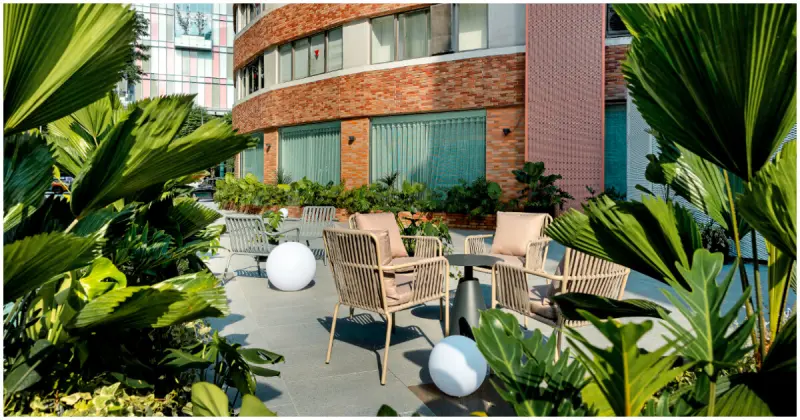 台北大巨蛋「板石咖啡廳」開幕優惠！雙人送炸雞、午間套餐499開吃。