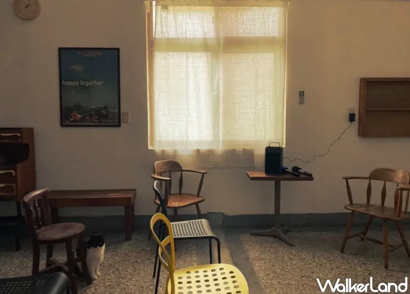 台中獨立書店推薦！梓書房 藏在台中美術館的獨立書店，有6隻店貓陪你閱讀。