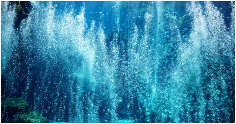 沉浸海洋全新展出！Xpark五週年四大主題展區亮點、夏季星光票8折。