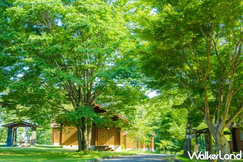 廣島夏日避暑全攻略！瀑布探險、花海合影與溫泉療癒打造日本清涼旅行。