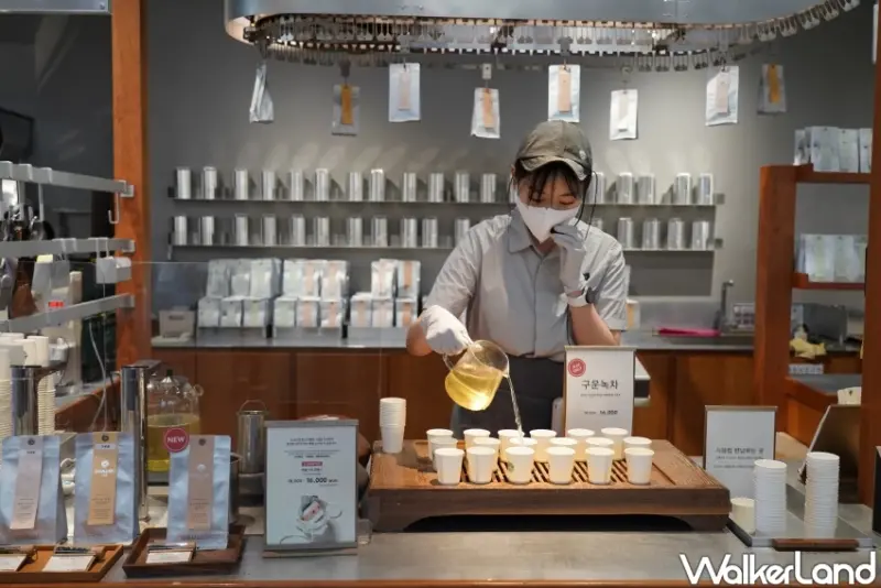 濟州島免費景點！Osulloc雪綠茶博物館 遼闊綠茶園美景超好拍，濟州限定伴手禮買起來。