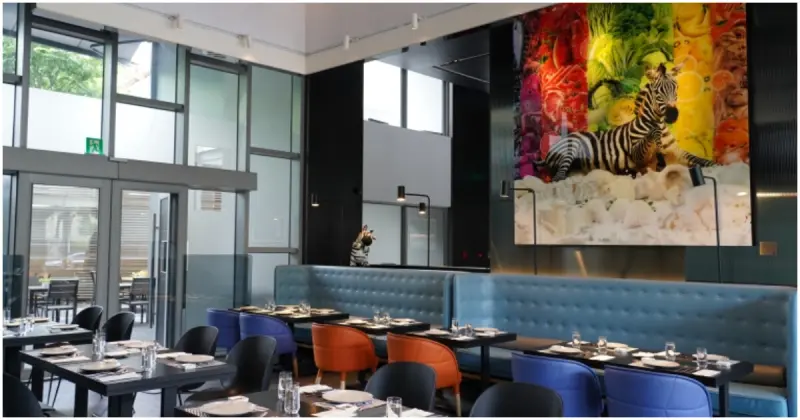 台中大毅老爺行旅餐廳！ZEBRA義式餐廳  森林系台中義式餐廳，義式料理與台灣味的創意融合。