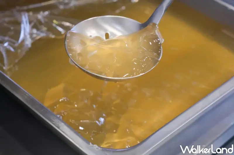 可不可楊梅果茶開喝！可不可桑心太平楊搭春梅凍限定登場，成哥狗狗玩偶加價購。